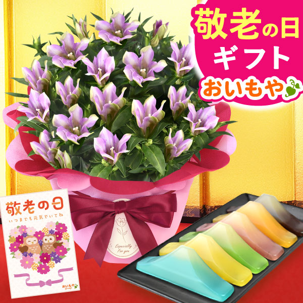敬老の日 ギフト プレゼント 花 生花 りんどう (長寿) 竜胆 リンドウ ようかん 富士山羊羹  アレンジメント 人気 おしゃれ 送料無料  スイーツ お菓子 和菓子 ギフト 【敬老】