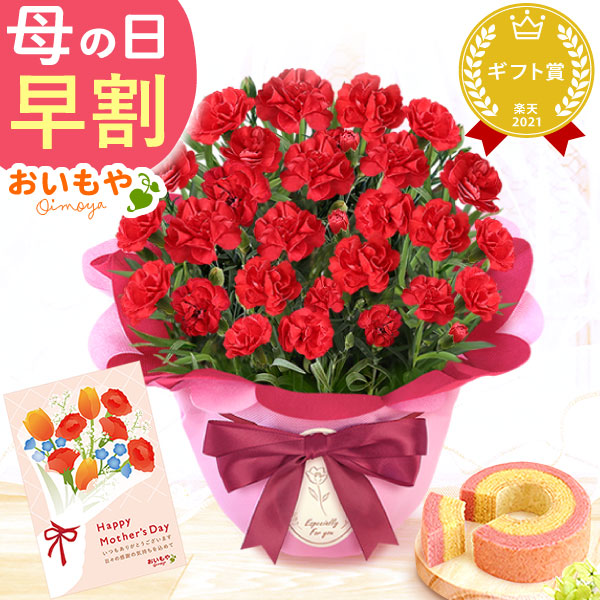 母の日 プレゼント お花 2025 ギフト 生花 鉢植え 希少 鉢花 カーネーション 5号 【感謝の気持ち・赤】バウムクーヘン おしゃれ かわいい 送料無料 スイーツ お菓子 和菓子