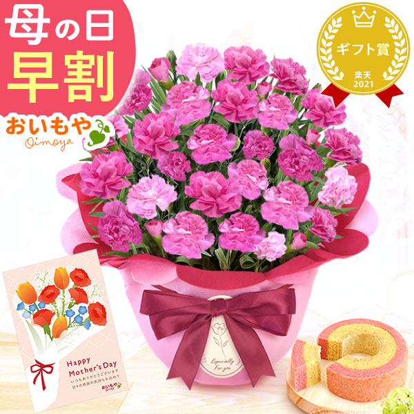 母の日 プレゼント お花 2025 ギフト 生花 鉢植え 希少 鉢花 カーネーション 5号 【ピーチキャンドル】バウムクーヘン おしゃれ かわいい 送料無料 スイーツ お菓子 和菓子