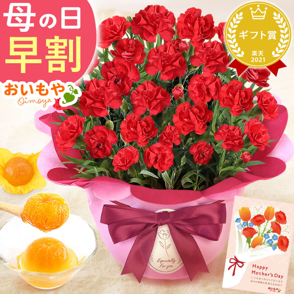母の日 プレゼント 花 生花 ギフト カーネーション 赤 5号 みかんゼリー 4個入 送料無料 スイーツ お菓子 洋菓子 ギフトセット おいもや