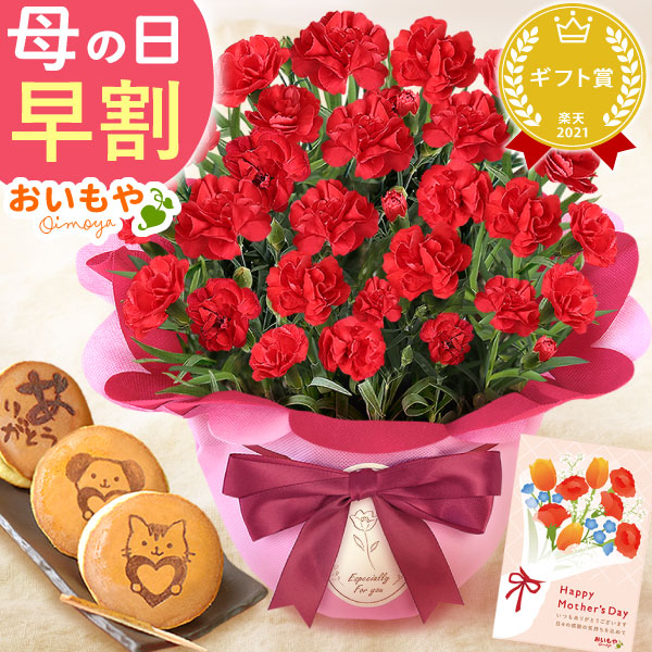 母の日 プレゼント 花 生花 ギフト カーネーション 赤 5号 どら焼き どらやき 5個 焼き印 送料無料 スイーツ お菓子 和菓子 ギフトセット おいもや