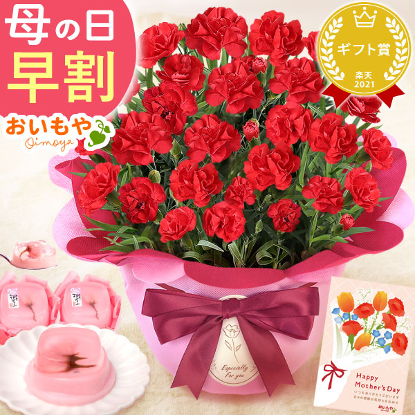 母の日 プレゼント 花 生花 ギフト カーネーション 赤 5号 桜プリン 送料無料 スイーツ お菓子 和菓子 洋菓子 ギフトセット おいもや