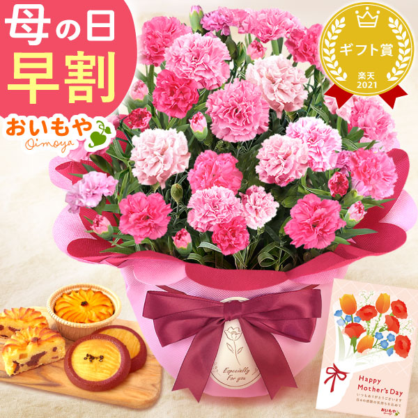 母の日 プレゼント 花 生花 ギフト カーネーション ホットハート 5号 林檎 林檎 スイートポテト お芋 サブレ 料無料 スイーツ お菓子 和菓子 洋菓子 ギフトセット おいもや