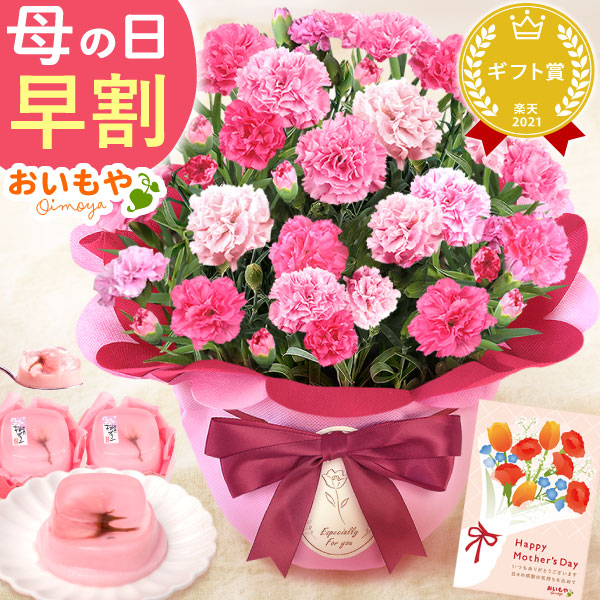母の日 プレゼント 花 生花 ギフト カーネーション ホットハート 5号 桜プリン 送料無料 スイーツ お菓子 和菓子 洋菓子 ギフトセット おいもや