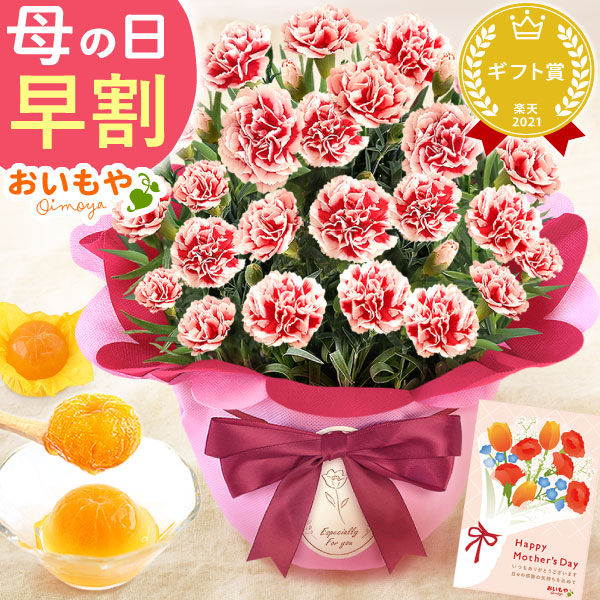 母の日 プレゼント 花 生花 ギフト カーネーション いちごホイップ 5号 みかんゼリー 送料無料 スイーツ お菓子 和菓子 洋菓子 ギフトセット おいもや