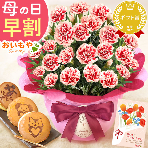 母の日 プレゼント 花 生花 ギフト カーネーション いちごホイップ 5号 どら焼き 送料無料 スイーツ お菓子 和菓子 洋菓子 ギフトセット おいもや