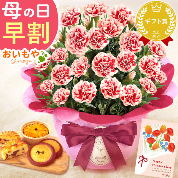 母の日 プレゼント 花 生花 ギフト カーネーション いちごホイップ 5号 林檎スイートポテト サブレ 送料無料 スイーツ お菓子 和菓子 洋菓子 ギフトセット おいもや