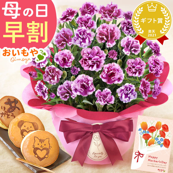母の日 プレゼント 花 生花 ギフト カーネーション オルフィカ 5号 どら焼き どらやき 5個 焼き印 送料無料 スイーツ お菓子 和菓子 ギフトセット おいもや