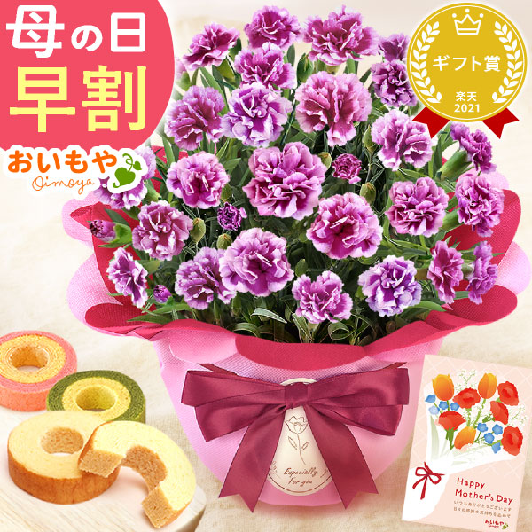 母の日 プレゼント 花 生花 ギフト カーネーション オルフィカ 5号 バウムクーヘン バウム 抹茶 苺 お芋 スイートポテト 5個 送料無料 スイーツ お菓子 和菓子 洋菓子 ギフトセット おいもや