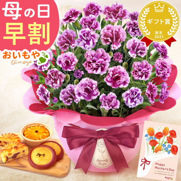 母の日 プレゼント 花 生花 ギフト カーネーション オルフィカ 5号 林檎 林檎 スイートポテト お芋 サブレ 料無料 スイーツ お菓子 和菓子 洋菓子 ギフトセット おいもや