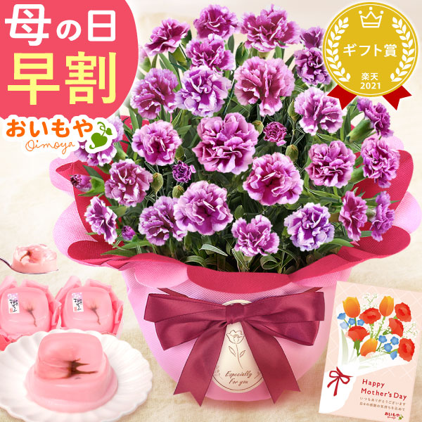母の日 プレゼント 花 生花 ギフト カーネーション オルフィカ 5号 桜プリン 送料無料 スイーツ お菓子 和菓子 洋菓子 ギフトセット おいもや