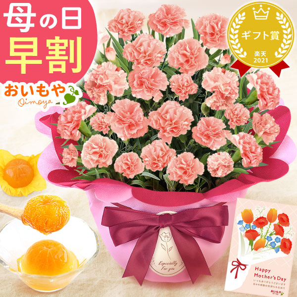 母の日 プレゼント 花 生花 ギフト カーネーション メープルシフォン 5号 みかんゼリー 送料無料 スイーツ お菓子 和菓子 洋菓子 ギフトセット おいもや