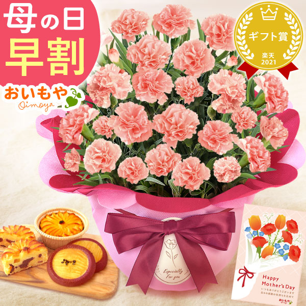 母の日 プレゼント 花 生花 ギフト カーネーション メープルシフォン 5号 林檎スイートポテト サブレ 送料無料 スイーツ お菓子 和菓子 洋菓子 ギフトセット おいもや
