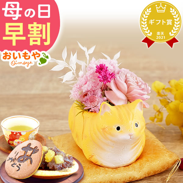 母の日 プレゼント ギフト 【アメショ・ベージュ】猫 花 お菓子 花とスイーツ スイーツ 和菓子 バラ プリザーブドフラワー 猫好き 女性 60代 70代 80代