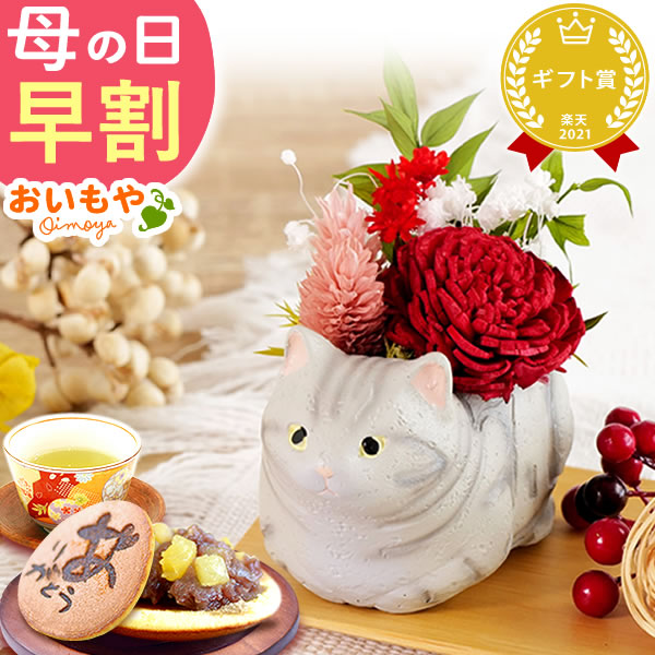 母の日 プレゼント ギフト 【アメショ・グレー】猫 花 お菓子 花とスイーツ スイーツ 和菓子 バラ プリザーブドフラワー 猫好き 女性 60代 70代 80代
