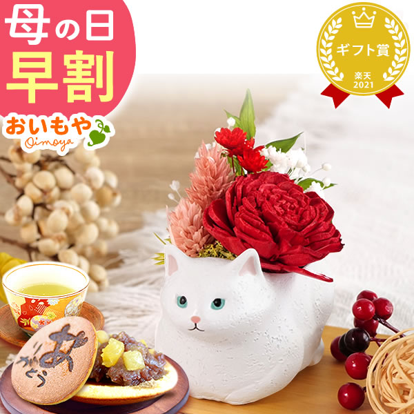 母の日 プレゼント ギフト 【白猫】猫 花 お菓子 花とスイーツ スイーツ 和菓子 バラ プリザーブドフラワー 猫好き 女性 60代 70代 80代