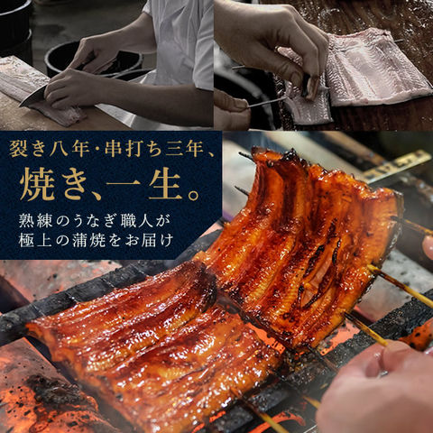 うなぎ 国産 鰻 うなぎ蒲焼 ギフト プレゼント 国産 うなぎ 一筋88年 浜名湖うなぎのたなか 米 鰻 ウナギ 蒲焼セット うなぎ国産 贈答 ギフト BOX お祝い 誕生日 化粧箱 特大長蒲焼1本+カット蒲焼2枚 送料無料 Aset お祝い用