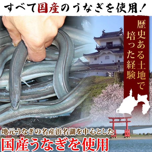 うなぎ 国産 鰻 お歳暮 御歳暮 冬ギフト うなぎ蒲焼 ギフト プレゼント 国産うなぎ 一筋88年 浜名湖うなぎのたなか 米 鰻 ウナギ 蒲焼セット うなぎ国産 ギフト BOX 化粧箱 特大長蒲焼3本 送料無料 Jset お歳暮用
