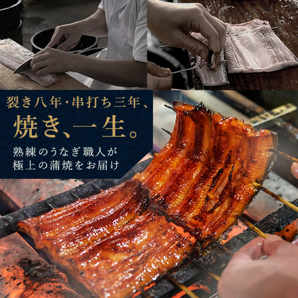 うなぎ 国産 鰻 国産 長蒲焼 2本セット うなぎ 浜名湖うなぎのたなか 米 鰻 ウナギ 蒲焼 自宅用 海鮮 蒲焼き 食品 食べ物 浜名湖 送料無料 Gset