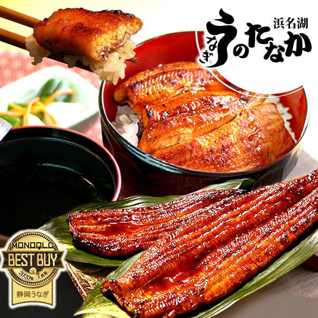うなぎ 国産 鰻 国産 長蒲焼 2本セット うなぎ 浜名湖うなぎのたなか 米 鰻 ウナギ 蒲焼 自宅用 海鮮 蒲焼き 食品 食べ物 浜名湖 送料無料 Gset