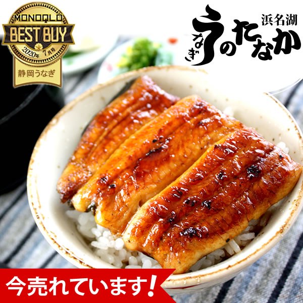 うなぎ 国産 鰻 国産 うなぎ 浜名湖 うなぎのたなか 鰻 ウナギ こぶり1枚 自宅用 海鮮 蒲焼き 食品 食べ物 浜名湖 mc6