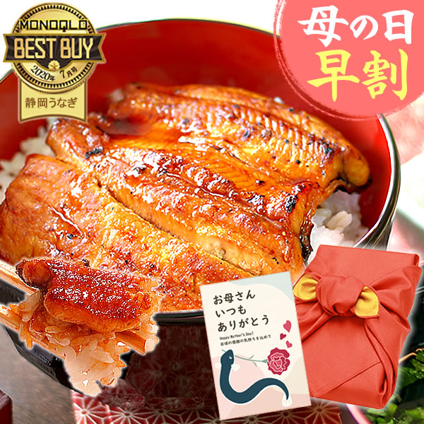 母の日 早割 うなぎ 国産 鰻 うなぎ蒲焼 ギフト プレゼント 国産 うなぎ 一筋88年 浜名湖うなぎのたなか 米 鰻 ウナギ 蒲焼セット うなぎ国産 贈答 ギフト 風呂敷包み 風呂敷 カット蒲焼2枚セット furoshiki-pon2 送料無料