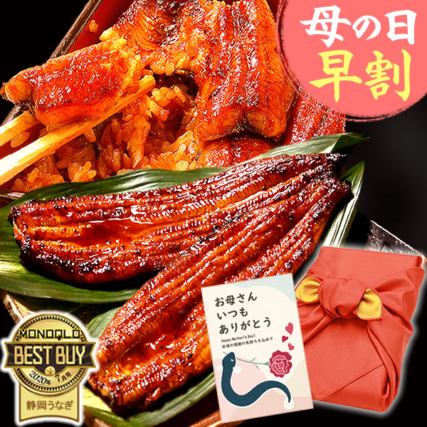 母の日 早割 うなぎ 国産 鰻 うなぎ蒲焼 ギフト プレゼント 国産 うなぎ 一筋88年 浜名湖うなぎのたなか 米 鰻 ウナギ 蒲焼セット うなぎ国産 贈答 ギフト 風呂敷包み お祝い 誕生日 風呂敷 特大長蒲焼2本 ftn2 送料無料