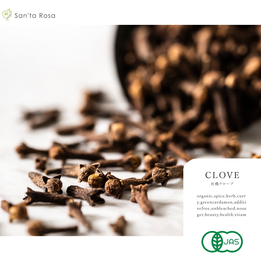 サンタローサ クローブ ホール 100g 最高級 オーガニック 有機JAS 無添加 スパイス clove 香辛料 丁子 丁香