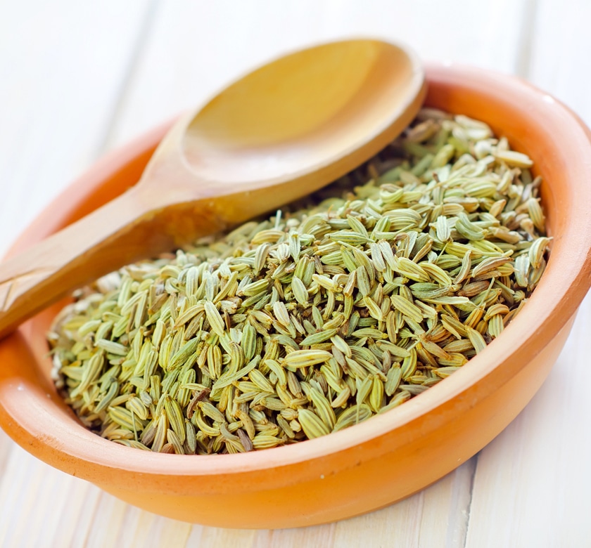 フェンネルシード 100g フェンネル 高品質 オーガニック 有機JAS フェンネルティー ハーブティー スパイス カレー fennel ウイキョウ 茴香 ハーブ ダイエット ティー お茶 サンタローサ