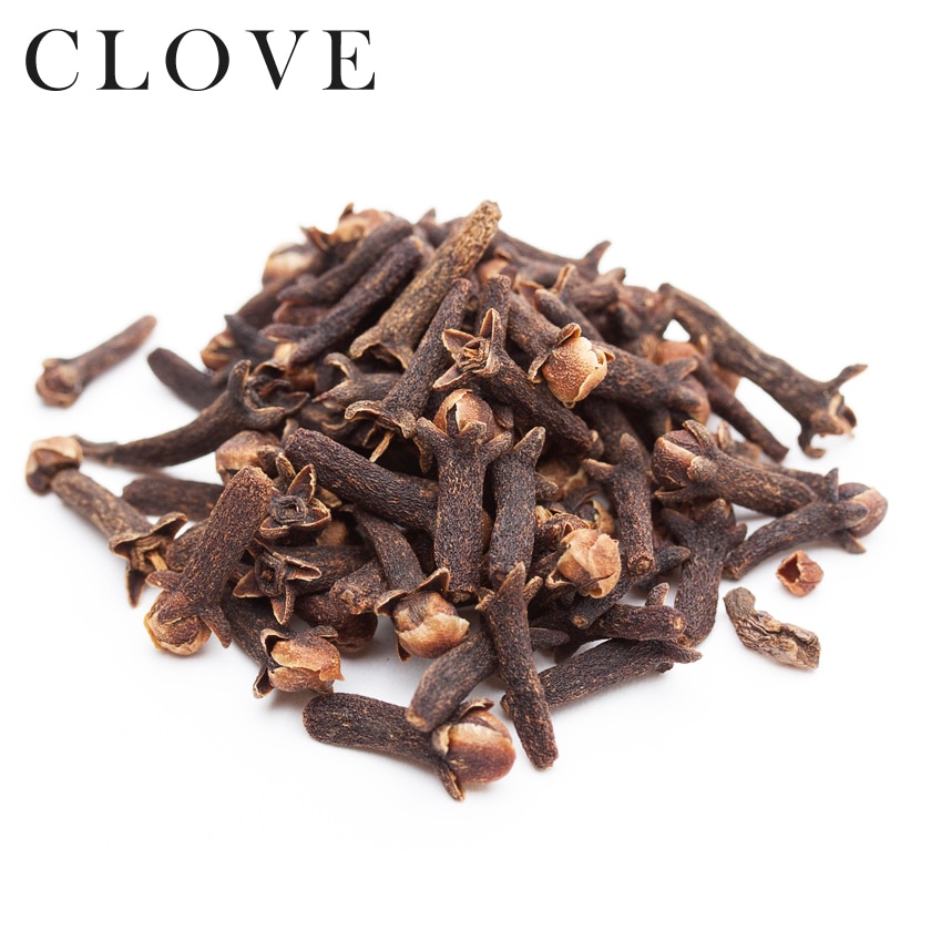 サンタローサ クローブ ホール 100g 最高級 オーガニック 有機JAS 無添加 スパイス clove 香辛料 丁子 丁香