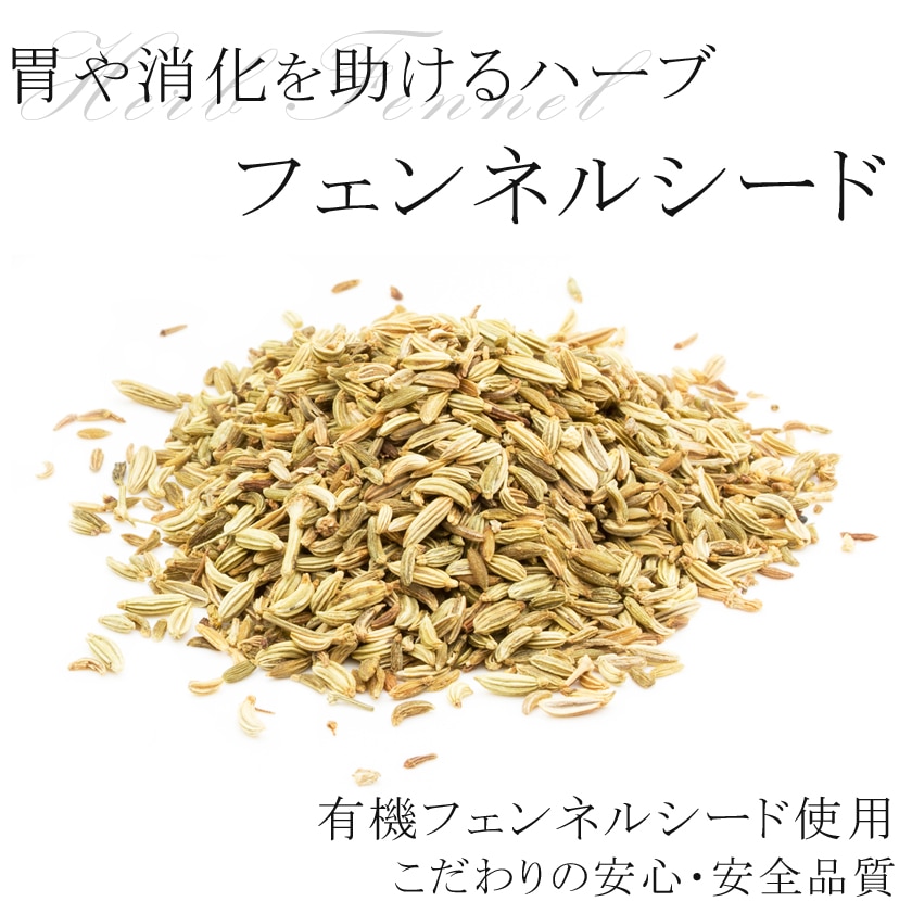 フェンネルシード 100g フェンネル 高品質 オーガニック 有機JAS フェンネルティー ハーブティー スパイス カレー fennel ウイキョウ 茴香 ハーブ ダイエット ティー お茶 サンタローサ