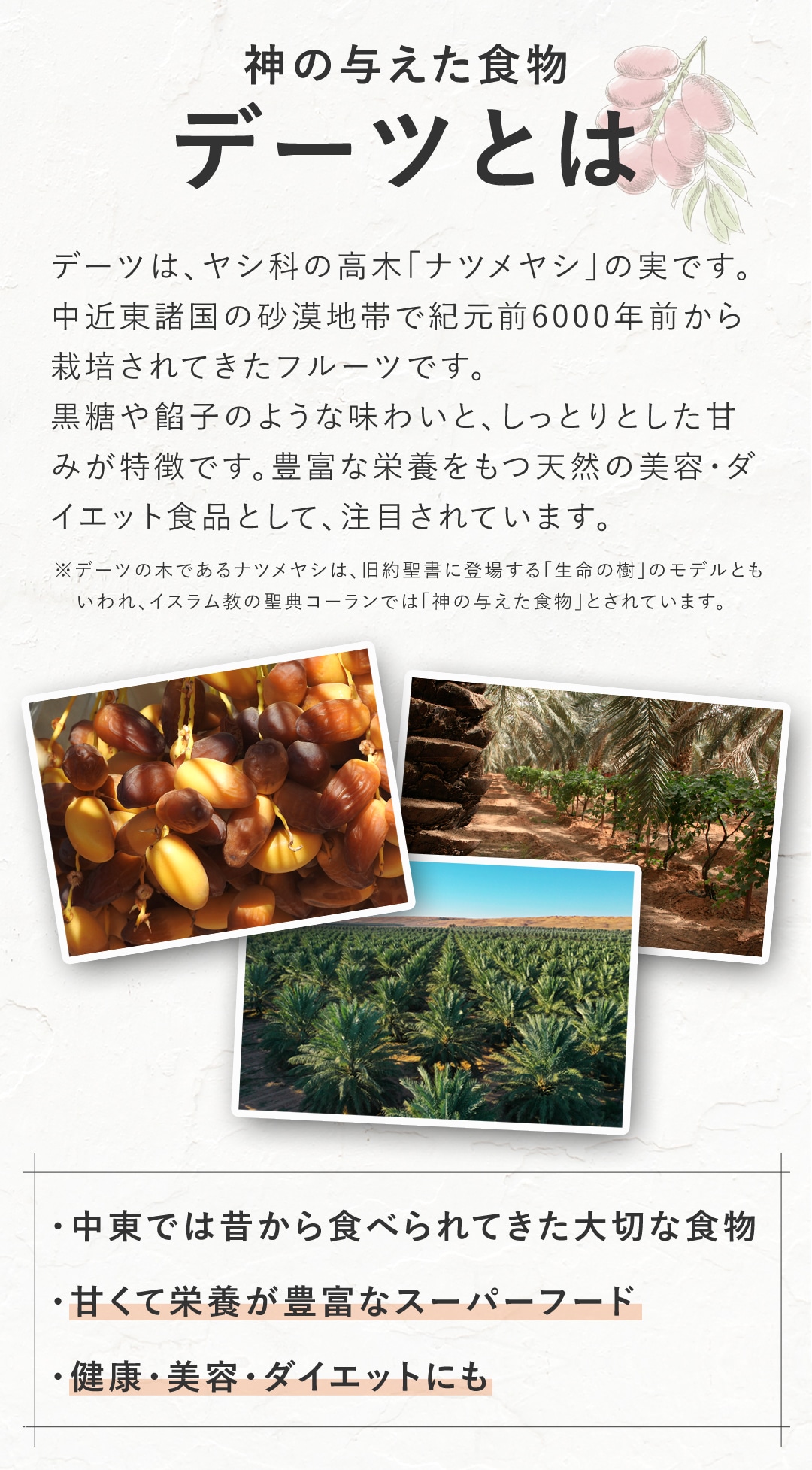 サンタローサ デーツ ドライフルーツ 500g なつめやし オーガニック 無添加 有機JAS 砂糖不使用 無漂白 ノンオイル コラス