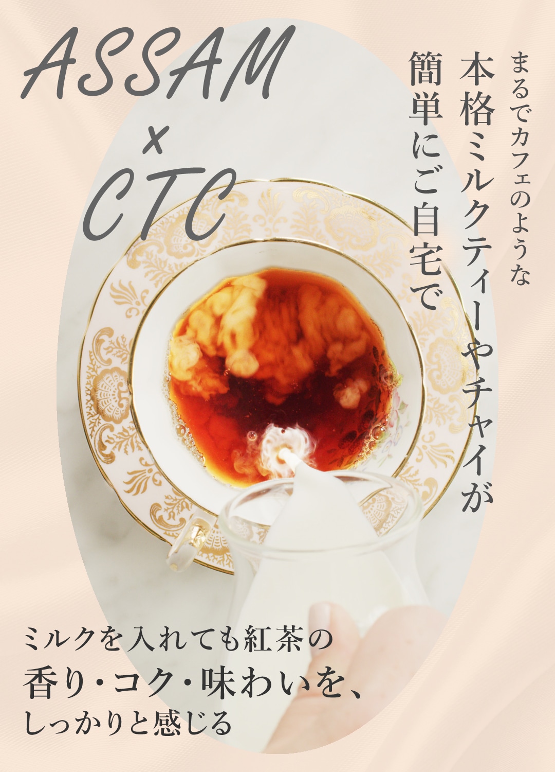 サンタローサ アッサム 紅茶 500g CTC アッサムティー オーガニック 有機JAS