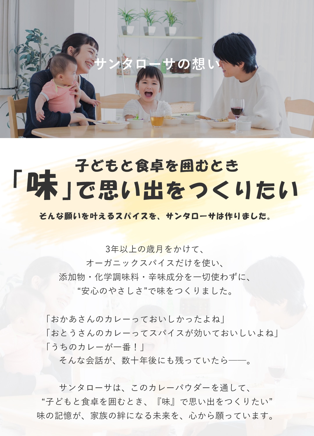 カレー粉 無添加 辛くない カレーパウダー 50g オーガニックスパイス ミックススパイス 有機JAS 子どもカレー ふりかけ カレー味 カレー味スパイス おやこカレー 辛みなし 調味料 小麦不使用 香料不使用 無薬品処理 保存料不使用 着色料不使用 非遺伝子組み換え 国内製造