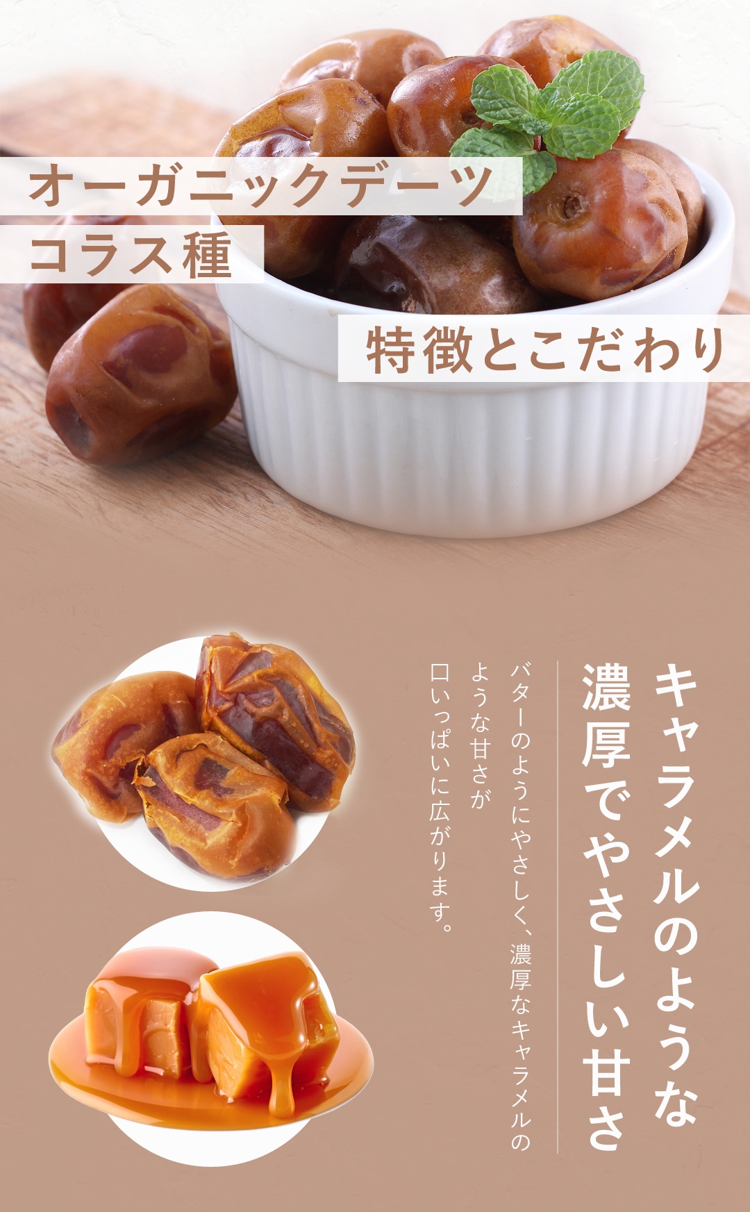 サンタローサ デーツ ドライフルーツ 500g なつめやし オーガニック 無添加 有機JAS 砂糖不使用 無漂白 ノンオイル コラス