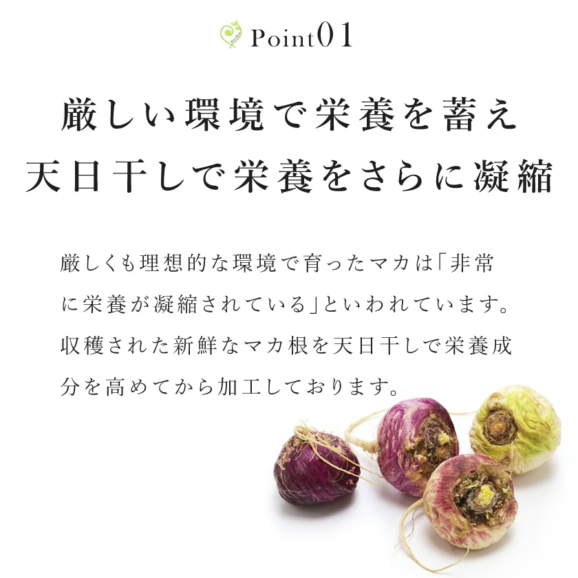 サンタローサ マカパウダー 100g マカ 粉末 オーガニック 有機JAS スパイス ハーブ