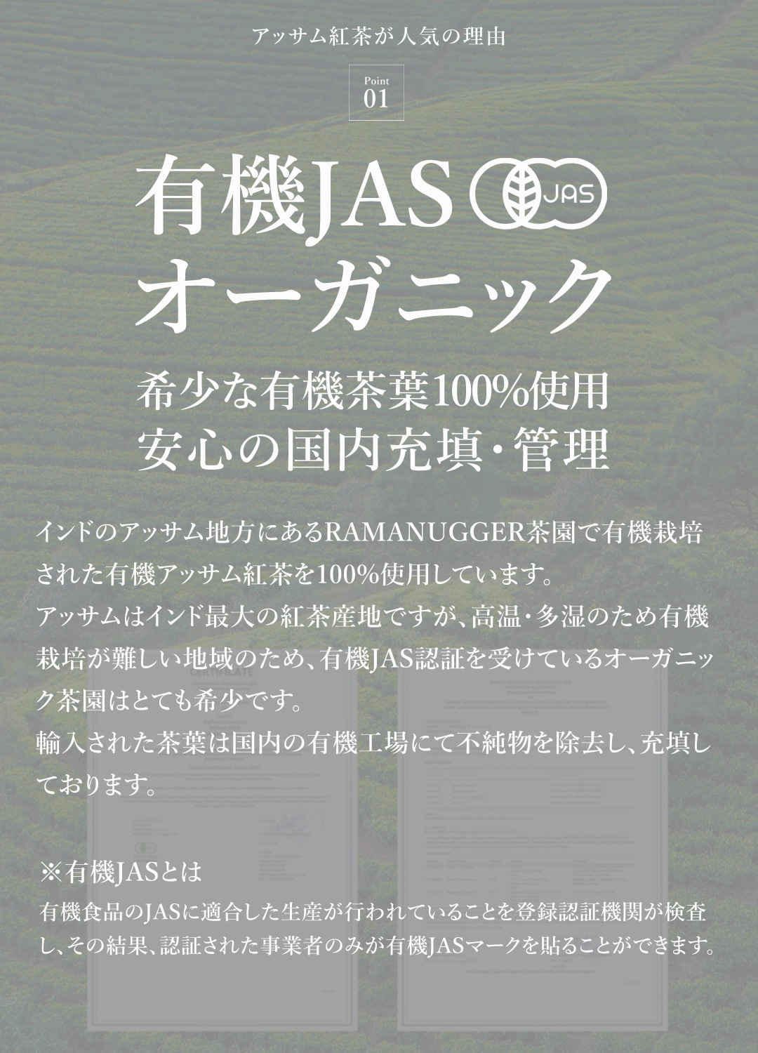 サンタローサ アッサム 紅茶 500g CTC アッサムティー オーガニック 有機JAS