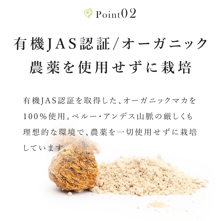 サンタローサ マカパウダー 100g マカ 粉末 オーガニック 有機JAS スパイス ハーブ
