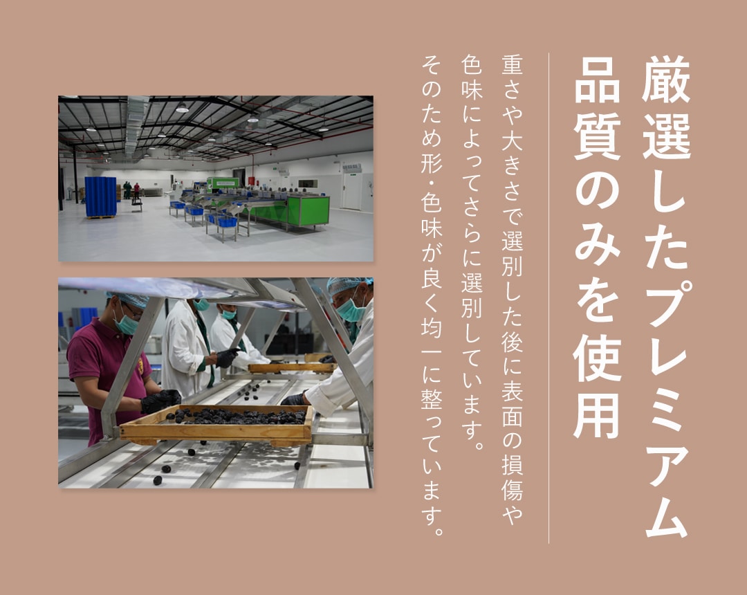 サンタローサ デーツ ドライフルーツ 500g なつめやし オーガニック 無添加 有機JAS 砂糖不使用 無漂白 ノンオイル コラス