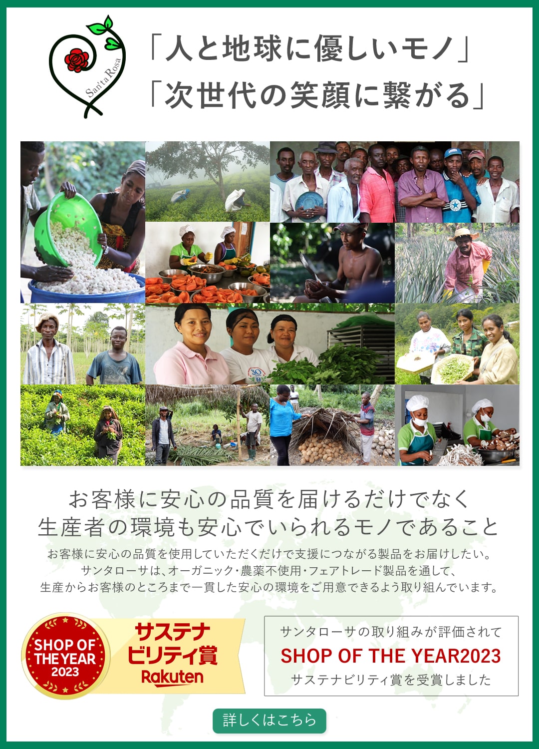 サンタローサ バニラビーンズ 5本入 最高級 完熟 農薬不使用 FLO認証 マダガスカル産 ブルボン種 バニラ