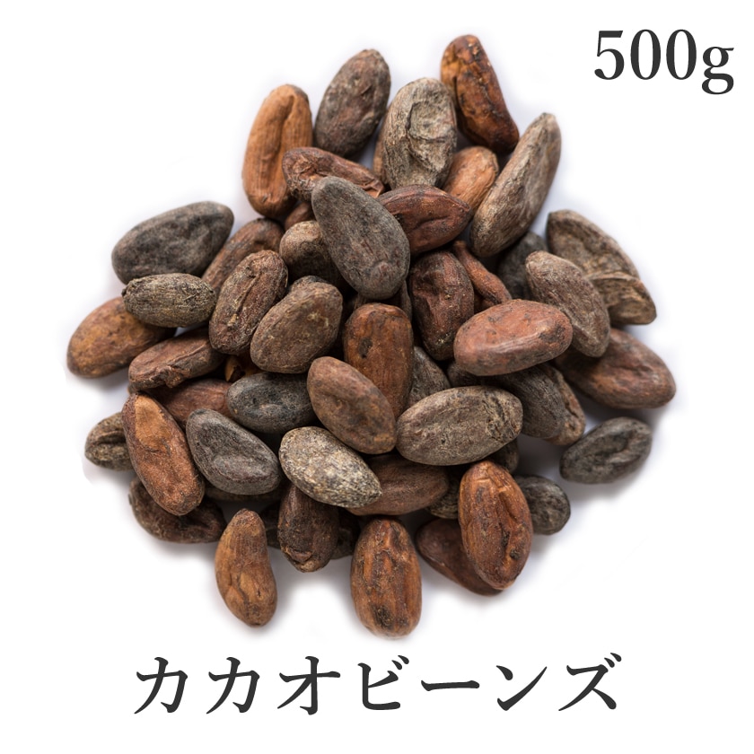 サンタローサ カカオ豆 500g ロースト カカオ ビーンズ 発酵カカオ豆 最高級 農薬不使用