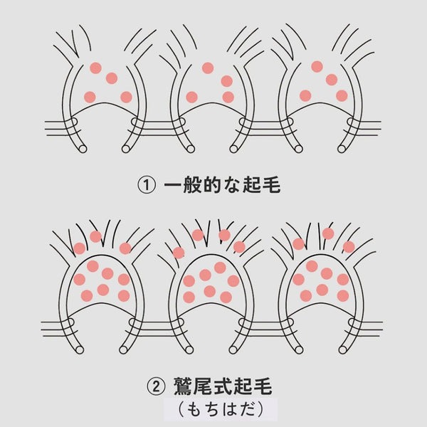 もちはだ はらまき 極厚裏起毛 二重腹巻 チャコール