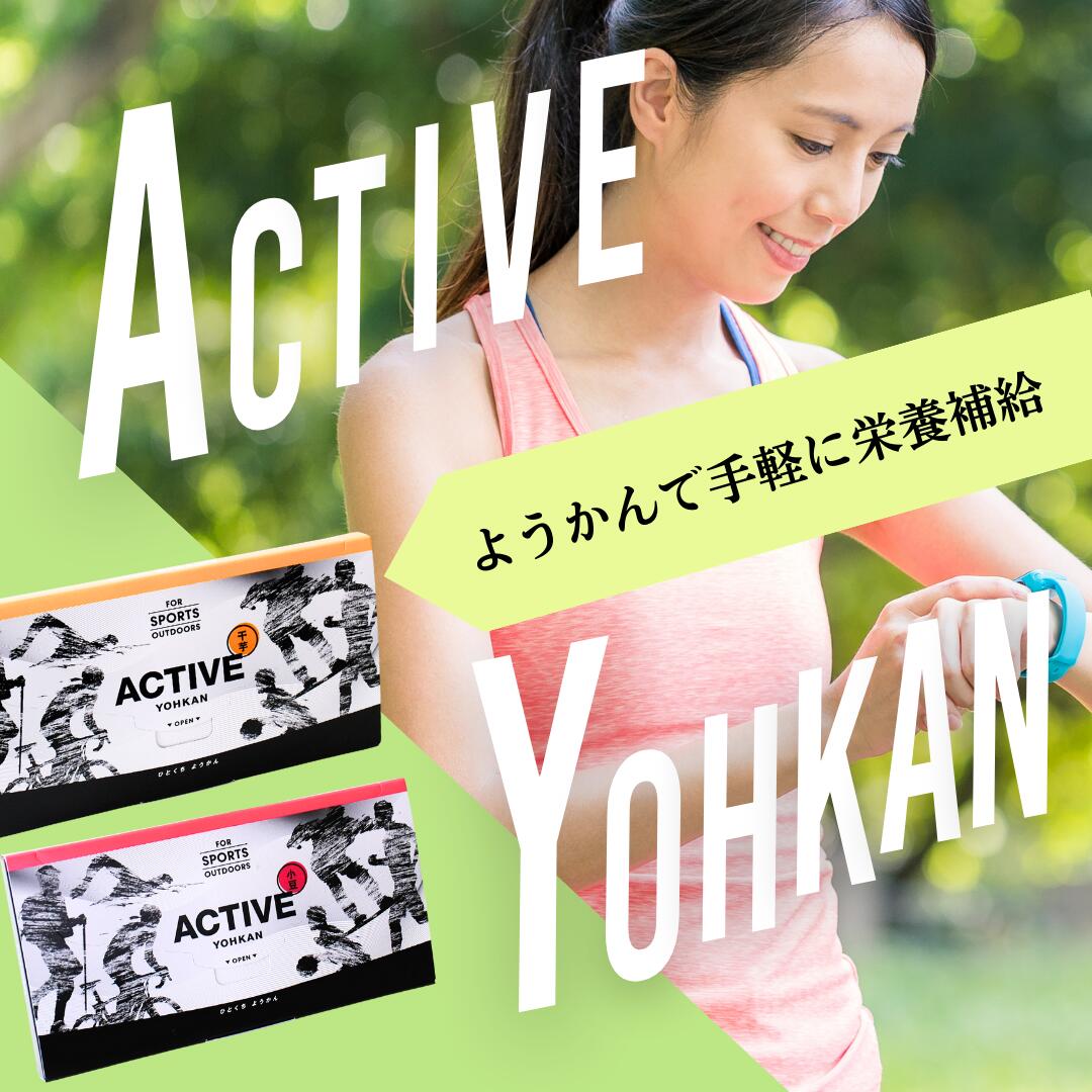 ようかん 羊羹 小豆 干し芋 あんこ 運動 アウトドア 乳酸菌 オリゴ糖 お菓子 個包装 送料無料 小分け 和菓子 お取り寄せ お取り寄せスイーツ 芋 さつまいも 美味しいお菓子 おやつ