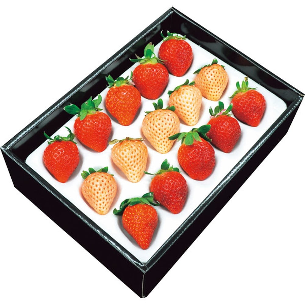 ◆【お歳暮限定】紅白いちご（計250g）◇メーカー直送 ▼返品・キャンセル不可【他商品との同時購入不可】