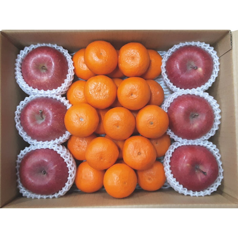 ◆【お歳暮限定】みかん・りんごセット◇メーカー直送 ▼返品・キャンセル不可【他商品との同時購入不可】
