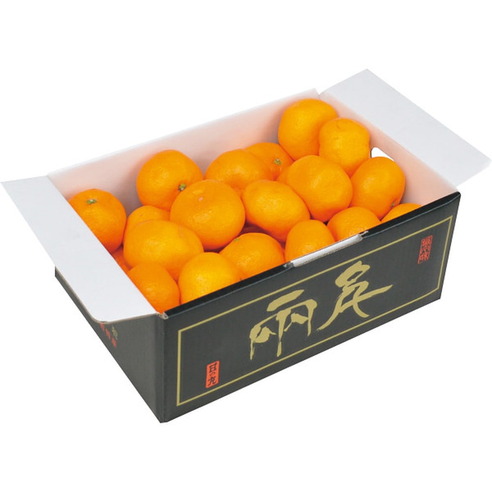 ◆【お歳暮限定】愛媛県産 日の丸みかん（2kg）◇メーカー直送 ▼返品・キャンセル不可【他商品との同時購入不可】