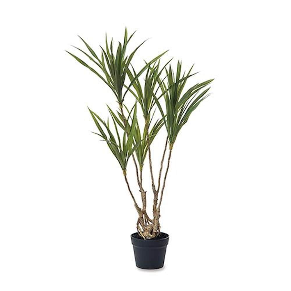 フェイクグリーン ドラセナ 81129 【直送品】 返品・キャンセル・他商品と同時購入は不可