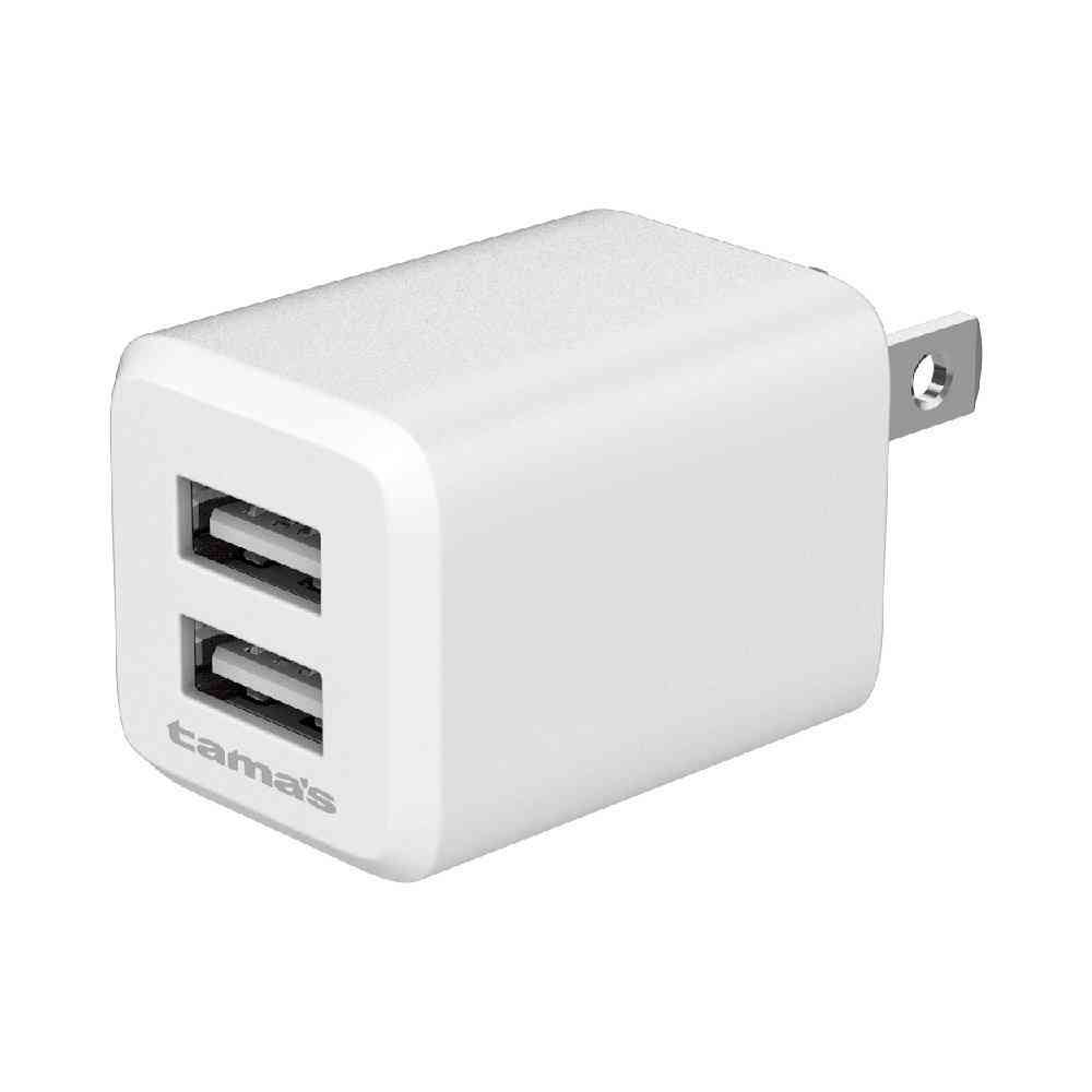 多摩電子工業 コンセントチャージャー 2.4A Type-C用 AA155U2C10W