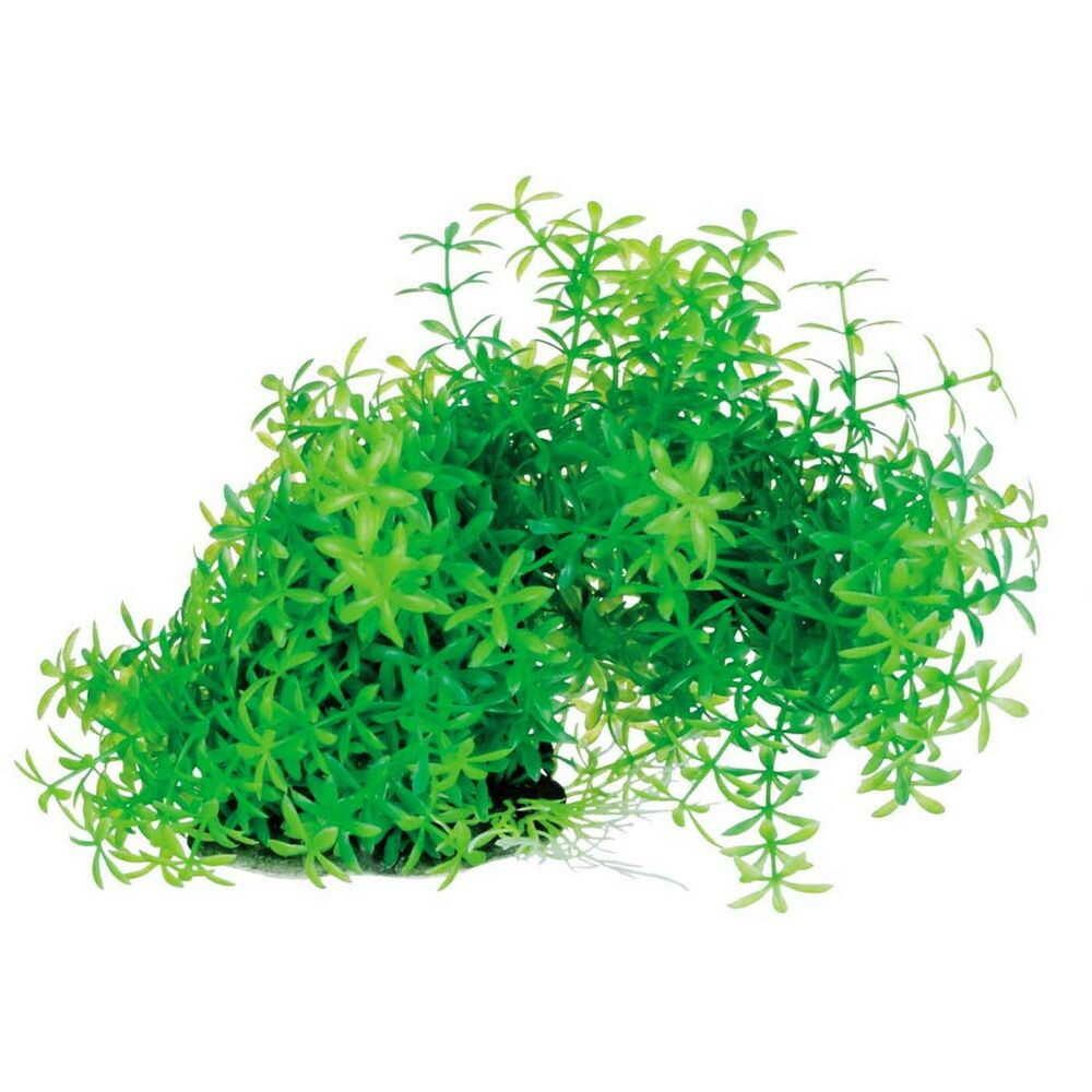 スペクトラムブランズジャパン テトラ フレキシブルプラント FP-1 1個