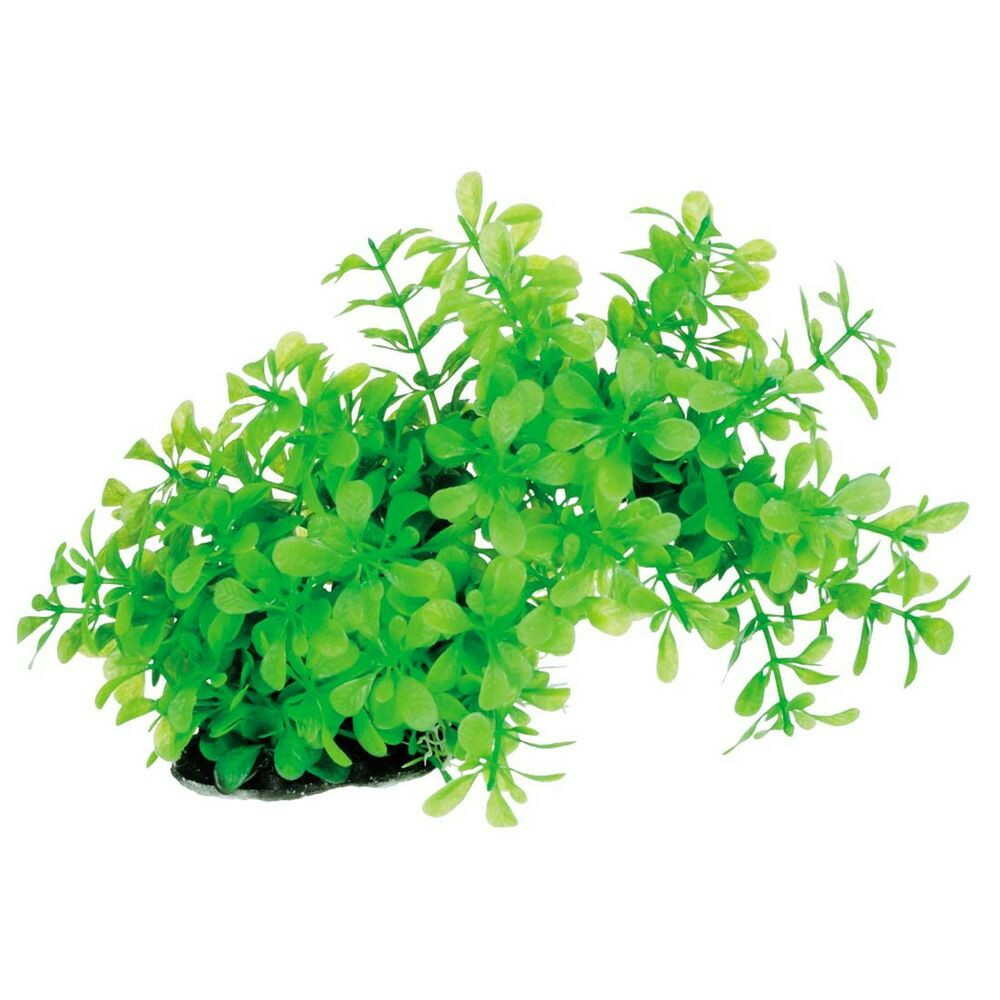 スペクトラムブランズジャパン テトラ フレキシブルプラント FP-2 1個